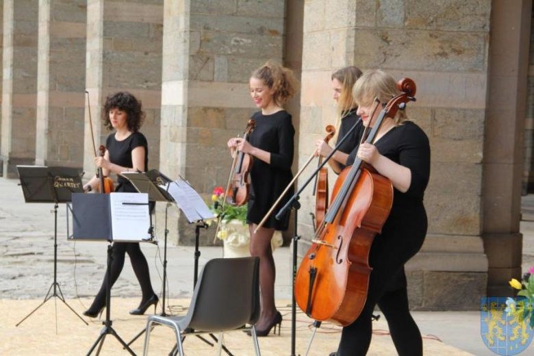 Święto tulipanów w Kamieńcu Ząbkowickim