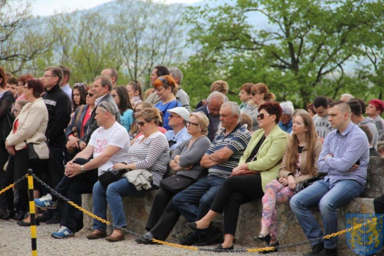 Święto tulipanów w Kamieńcu Ząbkowickim