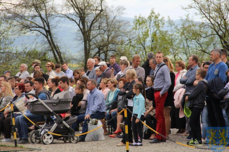 Święto tulipanów w Kamieńcu Ząbkowickim