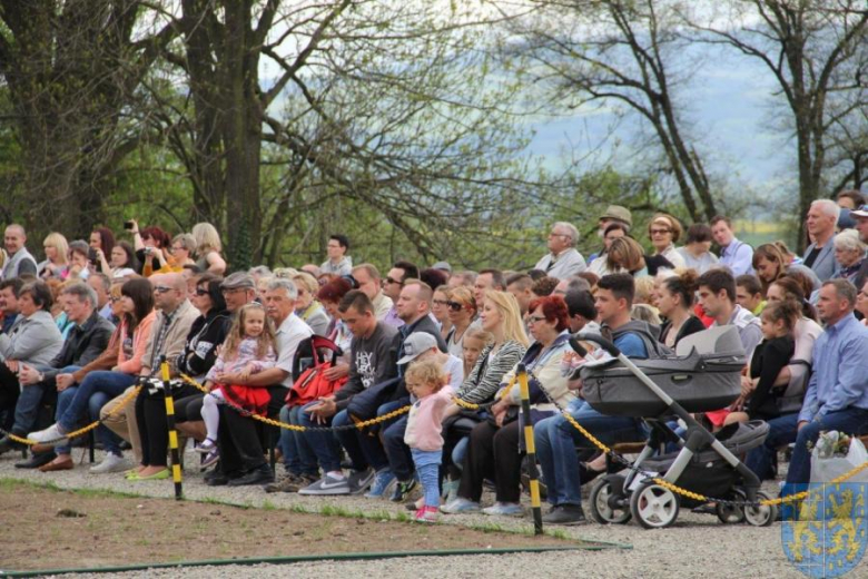 Święto tulipanów w Kamieńcu Ząbkowickim