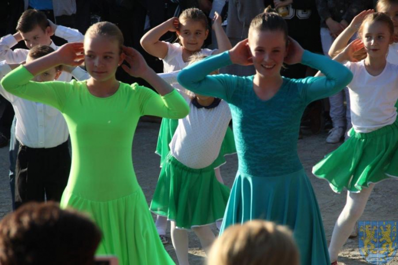 Święto tulipanów w Kamieńcu Ząbkowickim