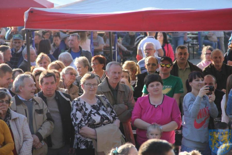 Święto tulipanów w Kamieńcu Ząbkowickim