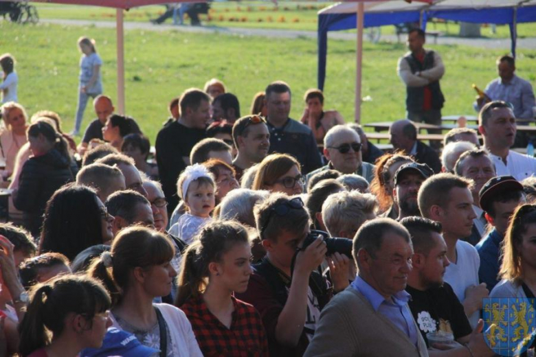 Święto tulipanów w Kamieńcu Ząbkowickim