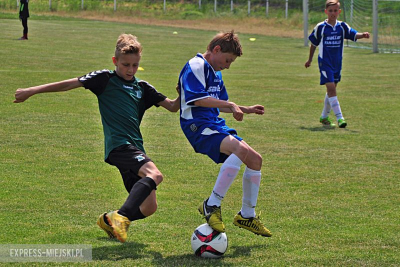 Turniej Stanno Cup o Puchar Krzywej Wieży