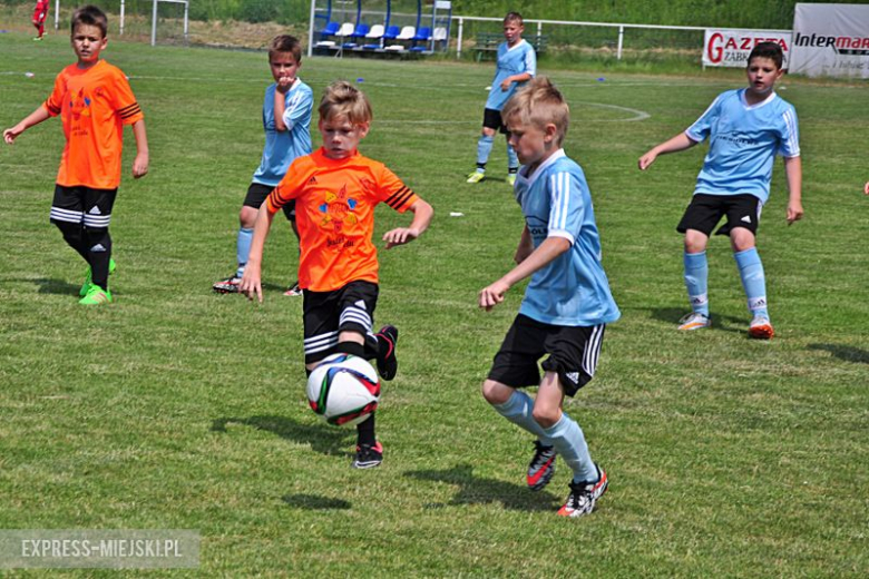 Turniej Stanno Cup o Puchar Krzywej Wieży