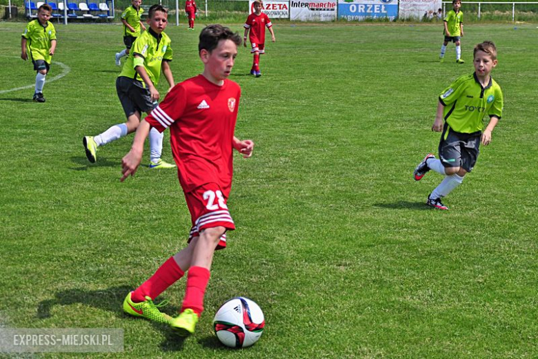 Turniej Stanno Cup o Puchar Krzywej Wieży