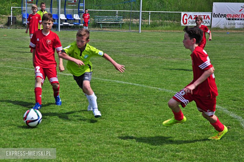 Turniej Stanno Cup o Puchar Krzywej Wieży