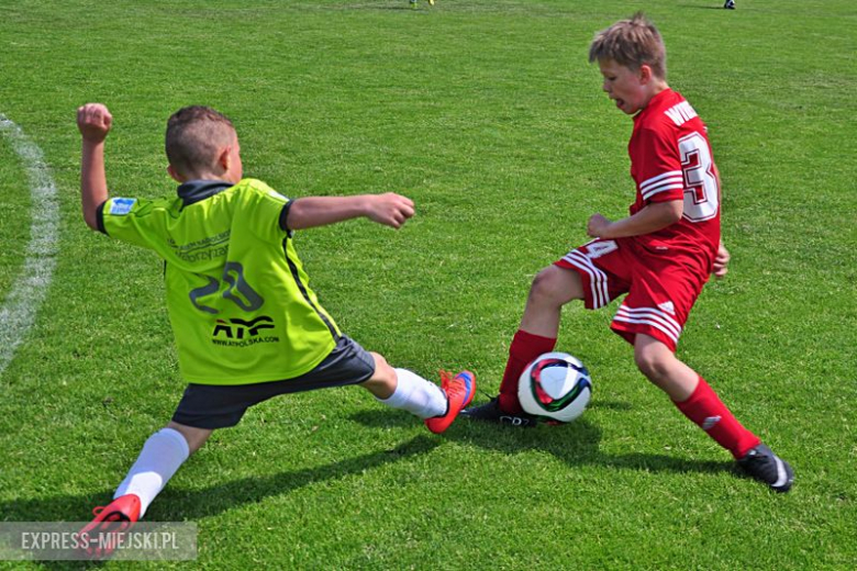 Turniej Stanno Cup o Puchar Krzywej Wieży