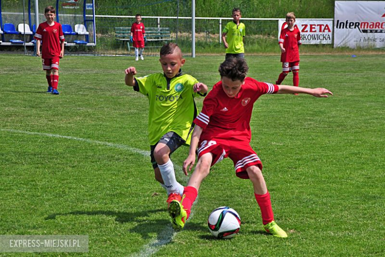 Turniej Stanno Cup o Puchar Krzywej Wieży