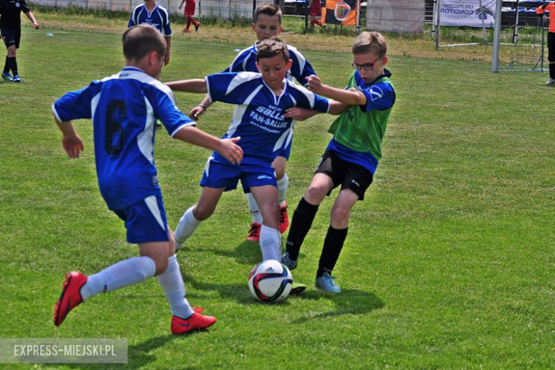 Turniej Stanno Cup o Puchar Krzywej Wieży