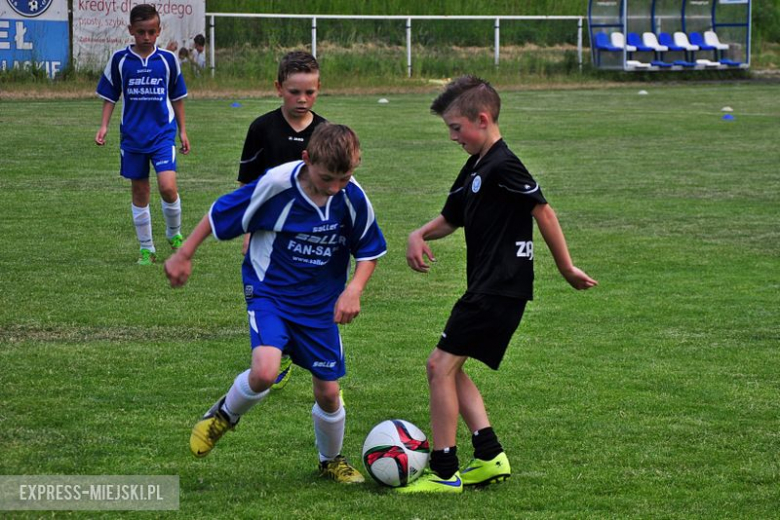 Turniej Stanno Cup o Puchar Krzywej Wieży