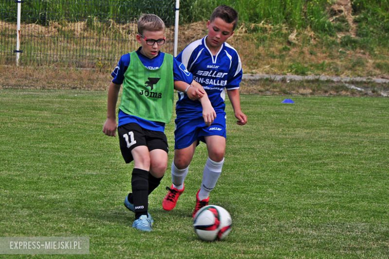 Turniej Stanno Cup o Puchar Krzywej Wieży