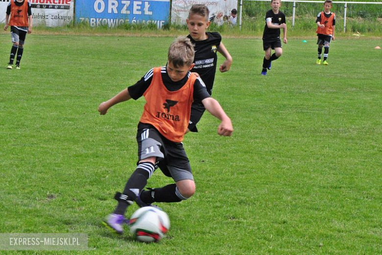 Turniej Stanno Cup o Puchar Krzywej Wieży