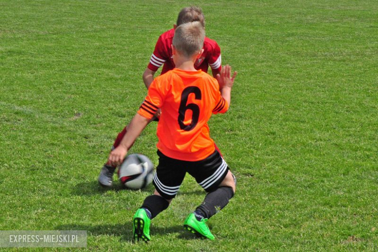 Turniej Stanno Cup o Puchar Krzywej Wieży