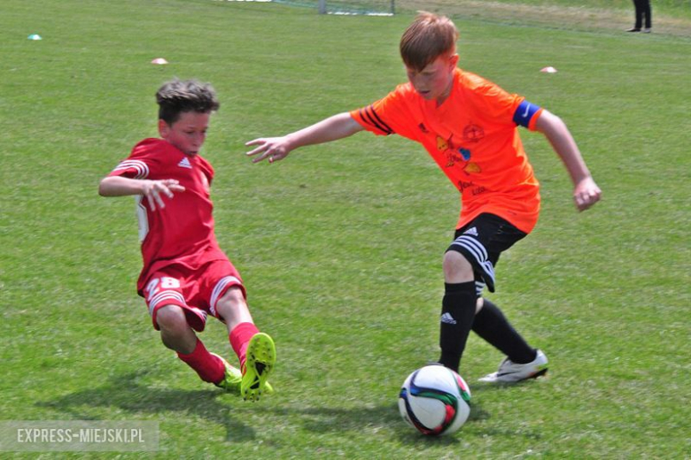 Turniej Stanno Cup o Puchar Krzywej Wieży