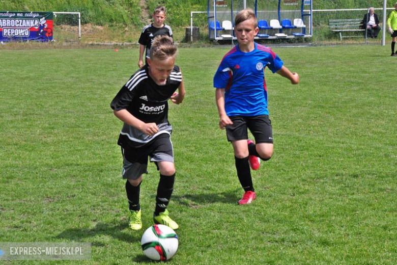 Turniej Stanno Cup o Puchar Krzywej Wieży