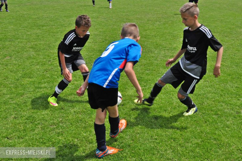 Turniej Stanno Cup o Puchar Krzywej Wieży