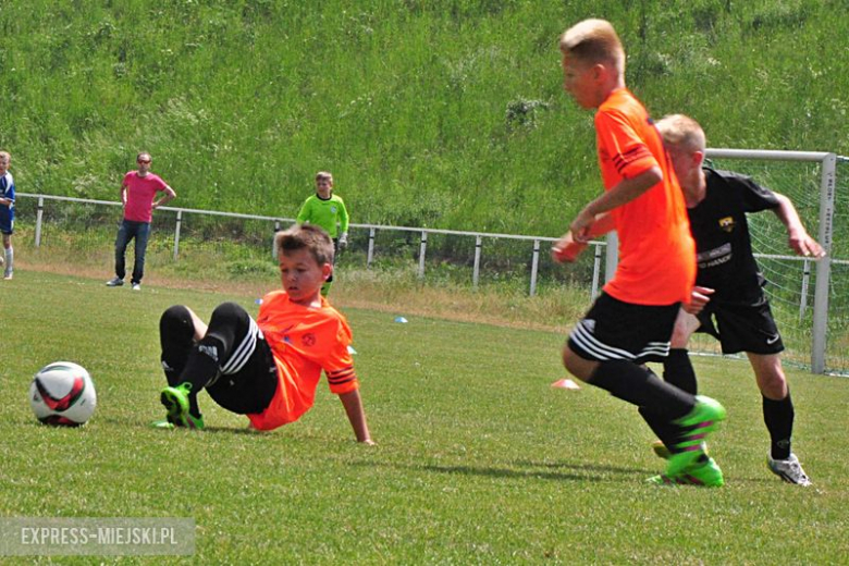 Turniej Stanno Cup o Puchar Krzywej Wieży