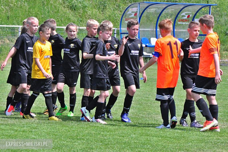 Turniej Stanno Cup o Puchar Krzywej Wieży