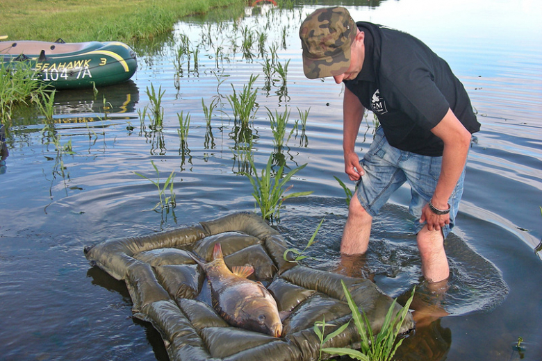 Frankenstein Carp Meeting - Kozielno 2016