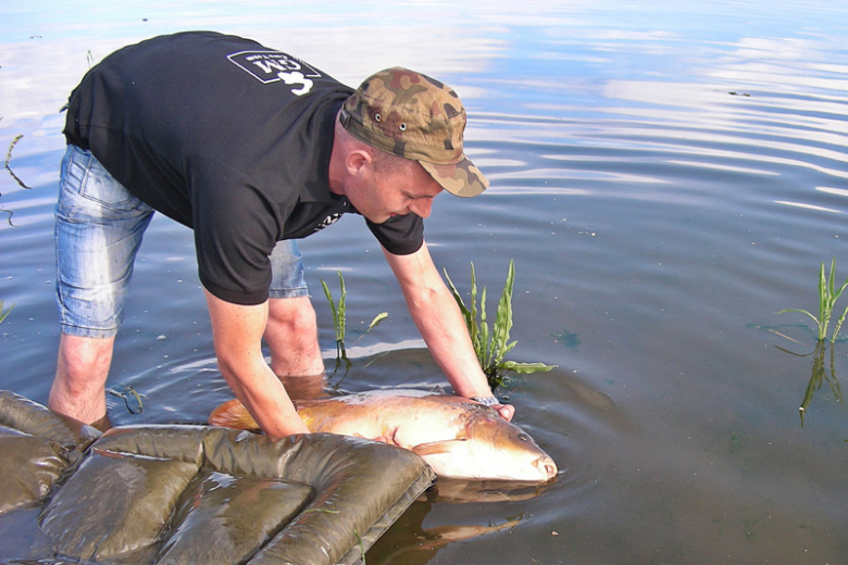 Frankenstein Carp Meeting - Kozielno 2016