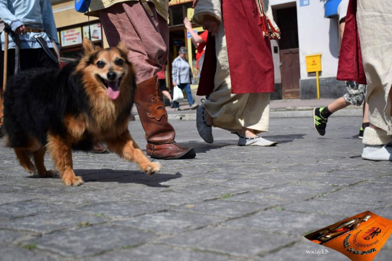 Festiwal Księstwa Ziębickiego