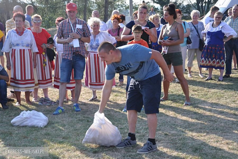 Dożynki gminne w Przedborowej