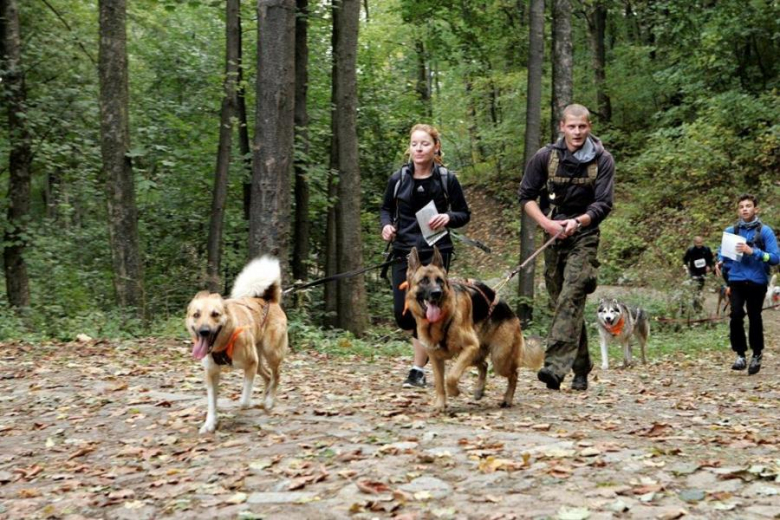 Finał Pucharu Polski w Dogtrekkingu - Złoty Stok 2016