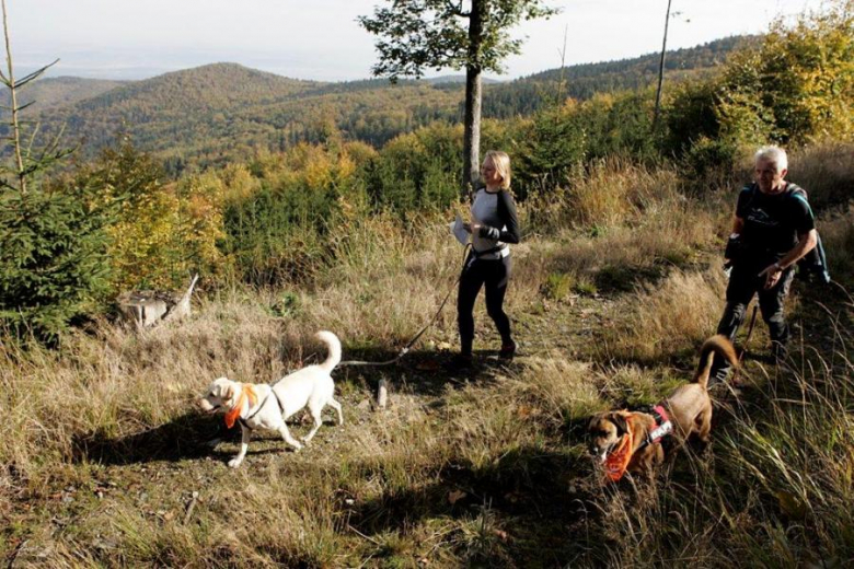 Finał Pucharu Polski w Dogtrekkingu - Złoty Stok 2016