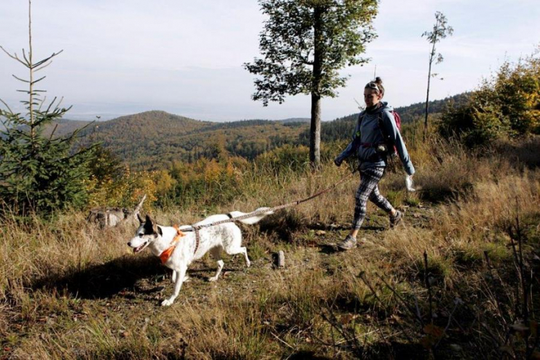 Finał Pucharu Polski w Dogtrekkingu - Złoty Stok 2016