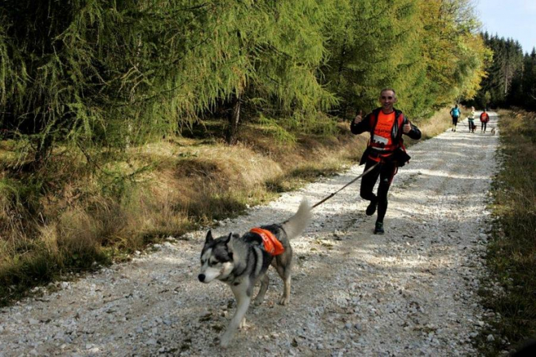 Finał Pucharu Polski w Dogtrekkingu - Złoty Stok 2016