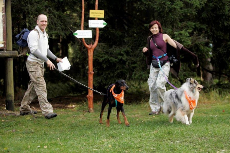 Finał Pucharu Polski w Dogtrekkingu - Złoty Stok 2016