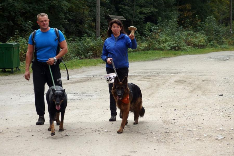 Finał Pucharu Polski w Dogtrekkingu - Złoty Stok 2016