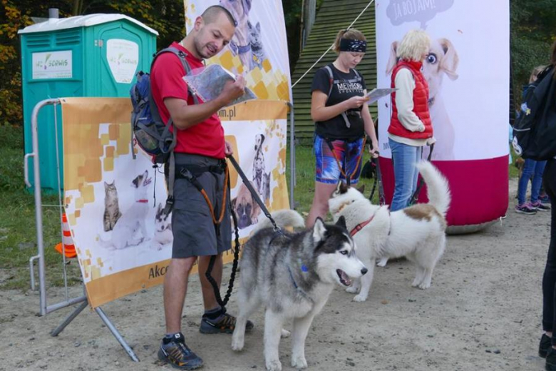 Dogtrekkingowy Finał Pucharu Polski w Złotym Stoku