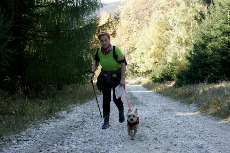 Dogtrekkingowy Finał Pucharu Polski w Złotym Stoku