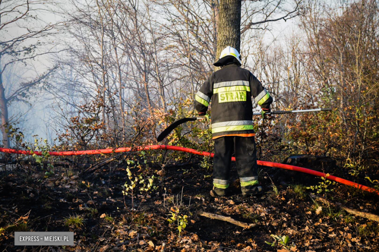 Pożar lasu w Laskówce