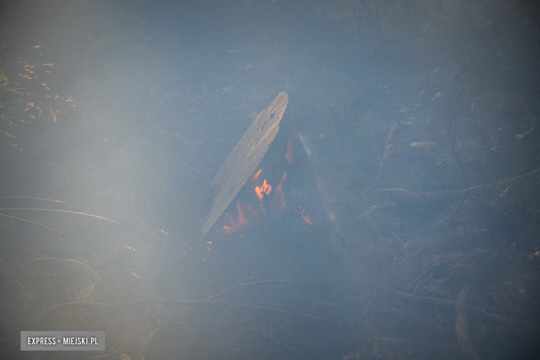 Pożar lasu w Laskówce