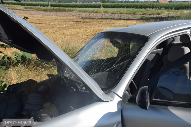 Osoba kierująca daewoo zjechała z drogi i uderzyła w przydrożne drzewo po czym oddaliła się z miejsca zdarzenia