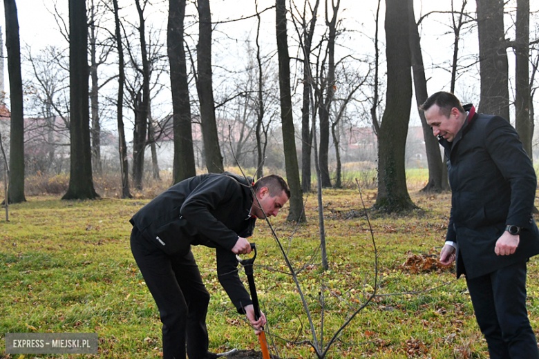 800-lecie Budzowa. Odsłonięcie tablicy pamiątkowej