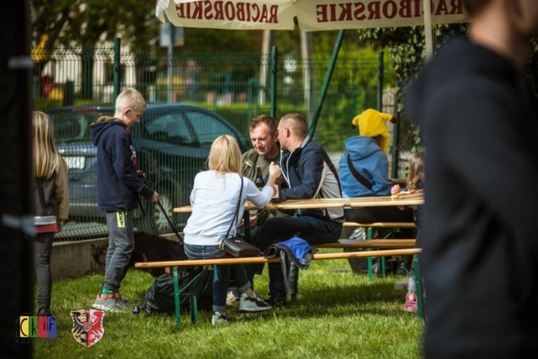 Zlot foodtrucków w Złotym Stoku