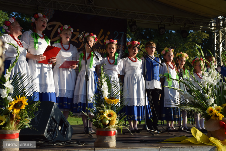 Dożynki gminne w Tarnowie