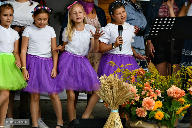 Dożynki Gminy Bardo w Dzbanowie 