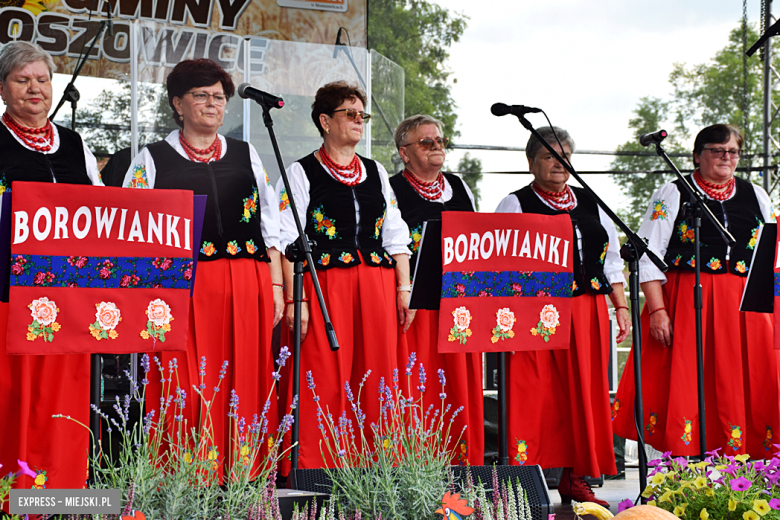 Tłumy na dożynkach gminnych w Budzowie. Zespół Daj To Głośniej gwiazdą wieczoru!