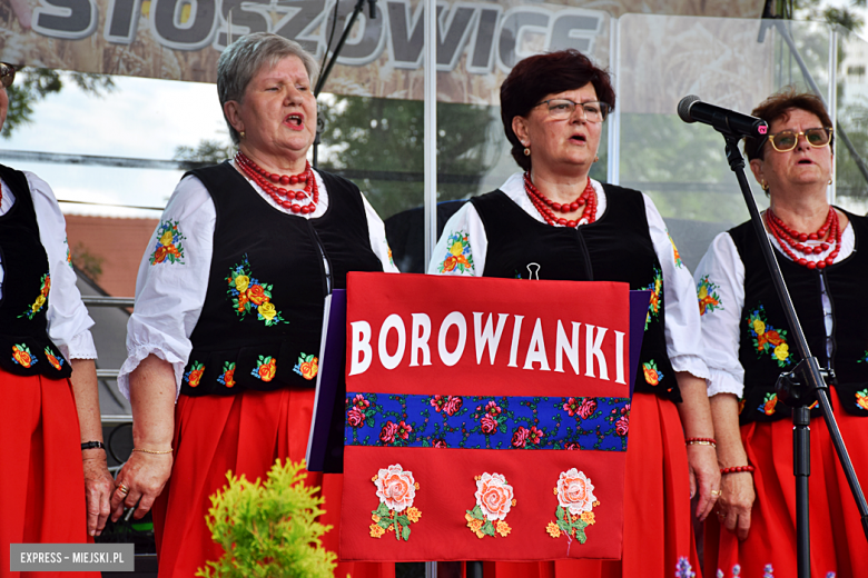 Tłumy na dożynkach gminnych w Budzowie. Zespół Daj To Głośniej gwiazdą wieczoru!