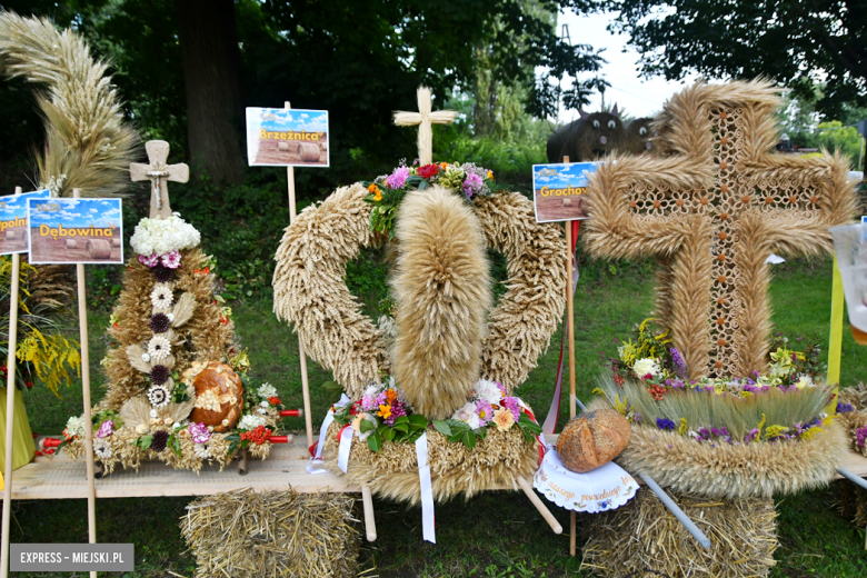 Dożynki gminy Bardo w Dzbanowie