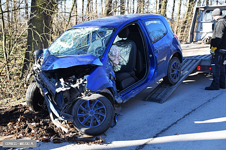 	Osobowe renault wypadło z drogi przed Sieroszowem