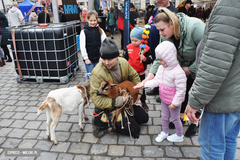 Jarmark wielkanocny w Ziębicach [foto]