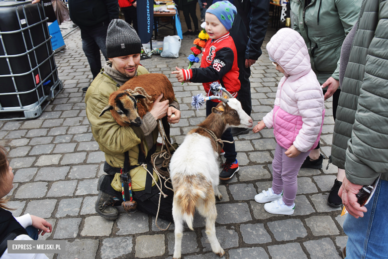 Jarmark wielkanocny w Ziębicach [foto]