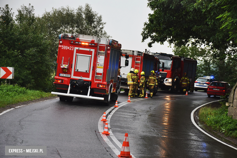 Samochód ciężarowy w rowie przed Kamieńcem Ząbkowickim [foto]