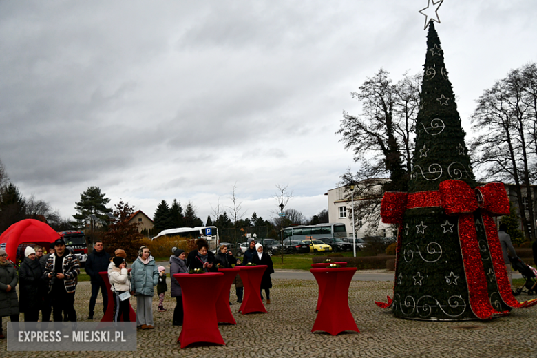 Bożonarodzeniowy jarmark na Kamienieckich Błoniach